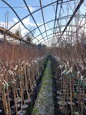 213b2c7a-add4-40d6-a9b0-3ae221387591