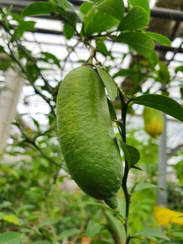 029b71e2-f67d-4123-97ae-fb3d6c8ee5d6