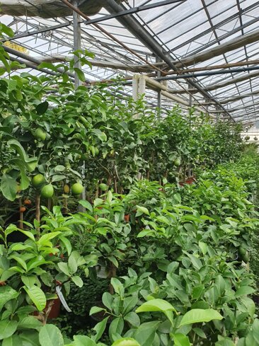 2dc2fcca-0e45-4065-a5af-141ebb8014e0