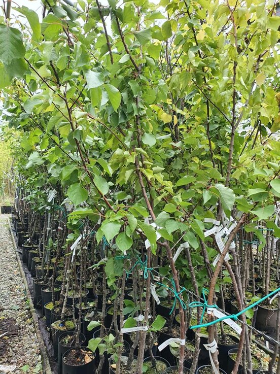 7e5118b4-eae8-4f1f-b018-33458c8931f7