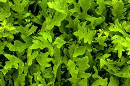 bf78d691-c6e6-4e8f-adf7-ccad5ab0f2f1