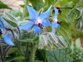 39590737-7f79-4097-890d-08c9fddf3e22