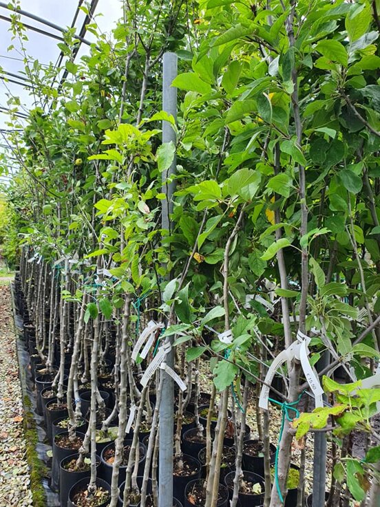 af411d9a-d793-4b7e-9f0a-455abd6a82b2