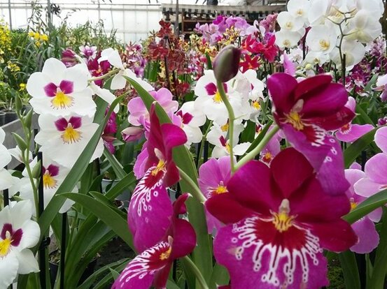 42a116f4-ffae-42ac-bdb4-bf9c84975eb8