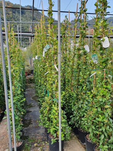 acb41c7d-a6e7-49a0-aa65-16dbc4d2fc51