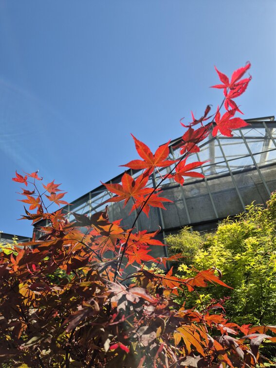 ae41a9ef-7662-4f15-958c-549b20dfbd05