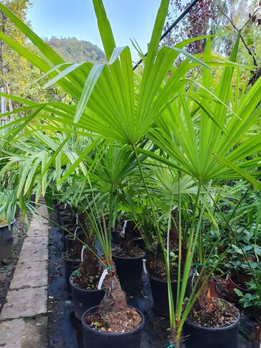 879dc149-2b80-4caf-a4a3-8e69b3a680ee