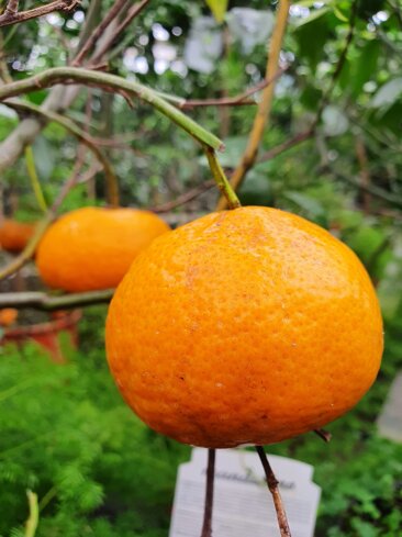 28946e3e-7330-42d6-85f9-59636f6b7d7f