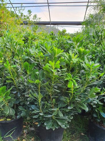 8479941b-ceed-47e6-ab6a-3d207b1c8b8c