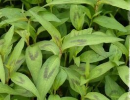 d887c353-73d4-4f9c-ade6-3c80a3878e47