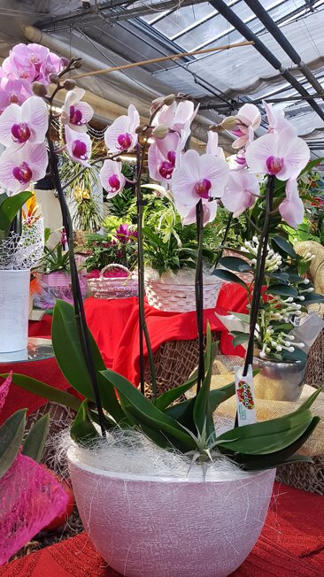 15f868c9-e371-4c67-abf7-5861abd6d38c