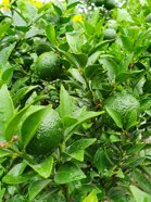 2a76bb7a-d8ca-47ca-8ee3-7d4e12814db1