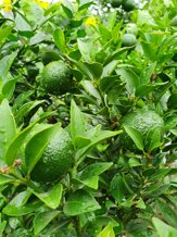 2a76bb7a-d8ca-47ca-8ee3-7d4e12814db1