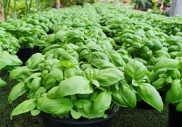 952420c4-d378-4791-bca7-ff7bc7099f39