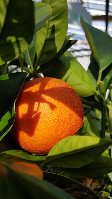 c98b09dd-3f31-4f12-857f-67231a98a1a5