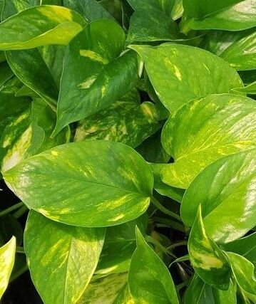 d762d24e-55ff-4bc2-a29b-d0fe48bf4af0.jpg d762d24e-55ff-4bc2-a29b-d0fe48bf4af0.jpg