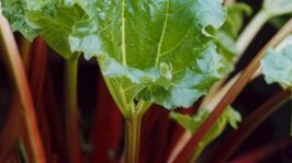 84c511ef-38dc-487a-802b-0419a3b2efc9