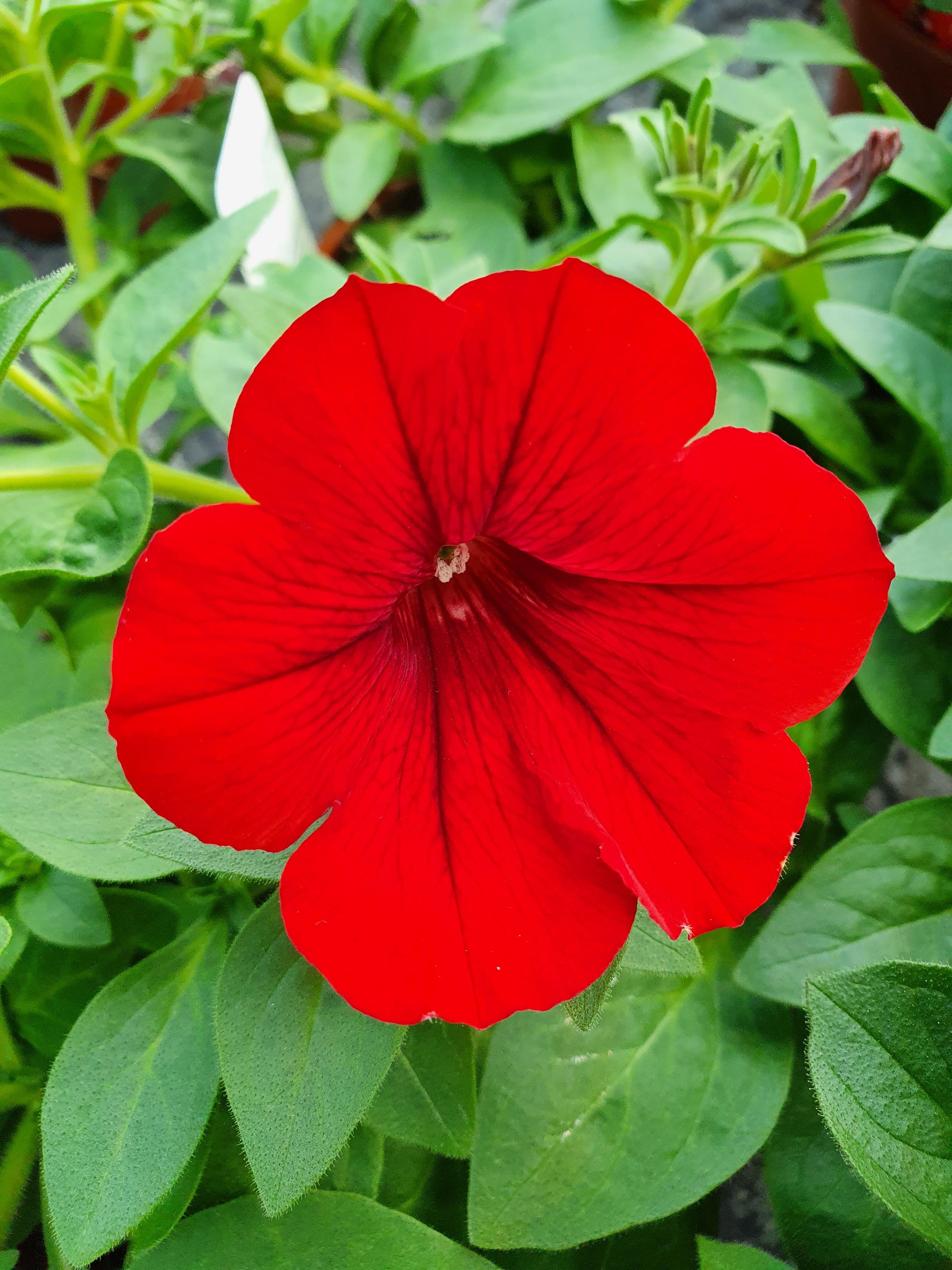 d9bcd168-ba3b-430f-9315-ea1bbd23714c.jpg d9bcd168-ba3b-430f-9315-ea1bbd23714c.jpg