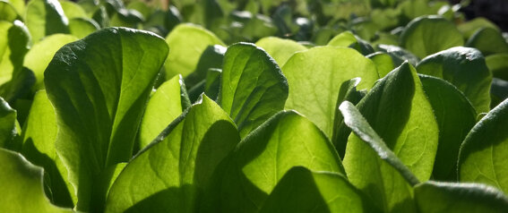 30ee5cf2-a5b7-4b59-89e9-bf4a6370b483