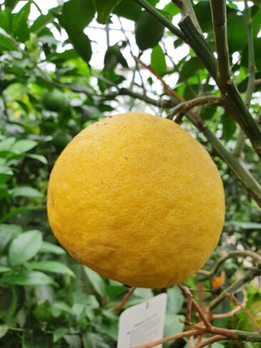 53eee98c-c435-4f73-a8d9-58a6c3c7a0ef