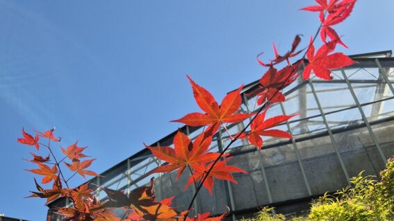 1af27f27-4589-4e04-b244-97e89694e8f5