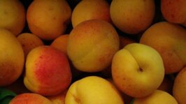 268c45bc-02b8-4605-9357-b51a78213756