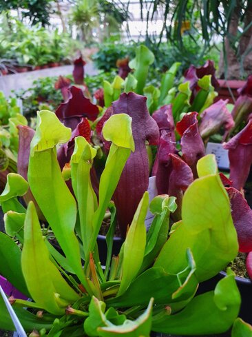 204a4978-94d6-4b1d-845b-5fb32a953fe3