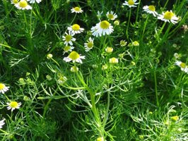 93bb6e1c-2107-4eca-a274-cc2f7873da71