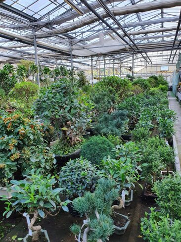 c48b7be0-35d2-47e6-9149-f37ec6726146