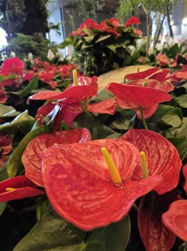 8156f973-6101-4bd7-9cc9-cf22e26d95fc