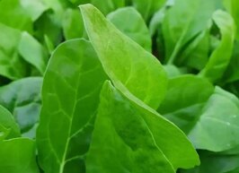 ecb2fbe1-d328-41bb-b4eb-f2f8ae5e4589