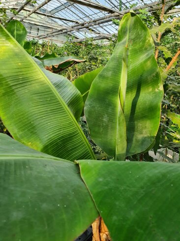 a32d3547-030a-4d6c-b883-18f745573b99