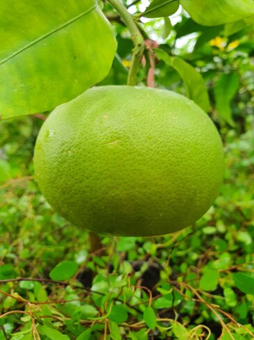 c83f2e81-058f-4132-92e4-c0d7b2819140