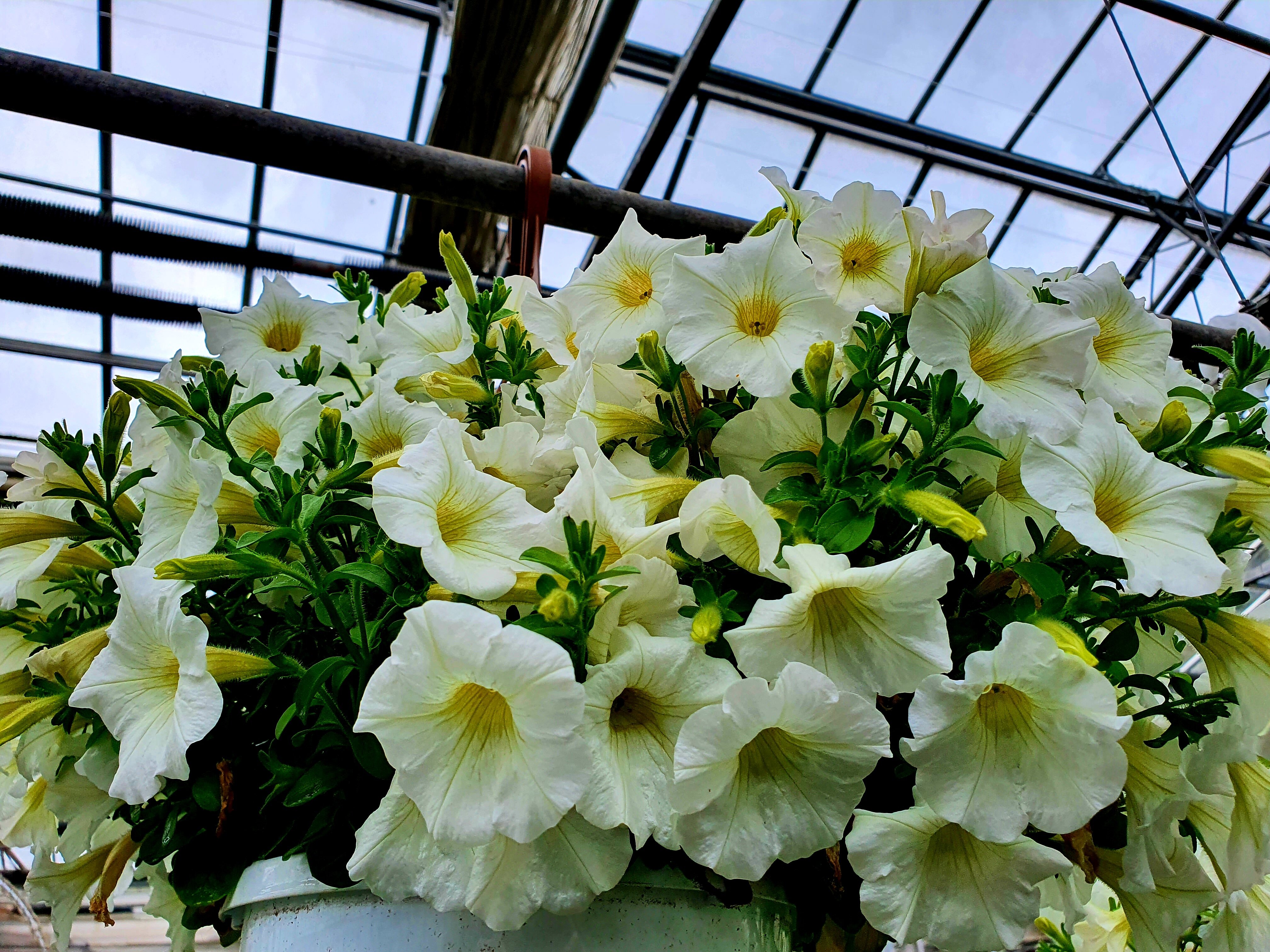 116f32df-091d-4027-a022-cd1169a487bf.jpg 116f32df-091d-4027-a022-cd1169a487bf.jpg