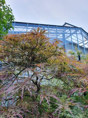 ed611c34-2087-4dc6-ac6b-2f50295d14f0