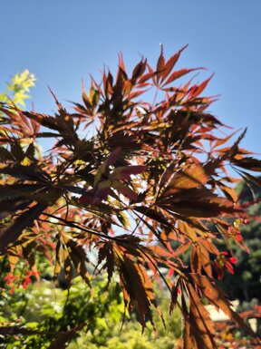 15b545e2-8756-452a-9711-2364534fe246