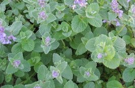 b0b75dde-2b48-44c2-8e54-2eed8aa3662a