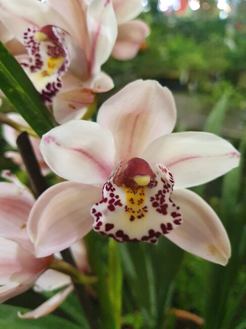 d07a40e9-2697-4d6d-b870-83225607b4ee