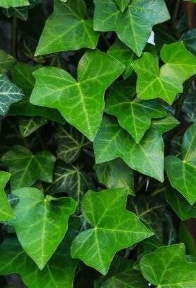 9e5a1eee-999c-4ce4-86b9-aeabb1129c76.jpg 9e5a1eee-999c-4ce4-86b9-aeabb1129c76.jpg