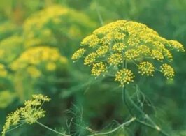 315819e8-3139-476e-9d11-6eefc17534aa