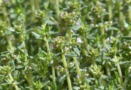 44ec7b46-edd0-423c-ae07-a04dd18e296f