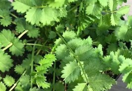 0ed061c4-8ae5-4082-a944-9edd78d98f58