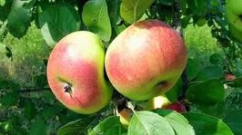 f00959e4-07ca-4bf0-bcb1-912937e28ec4