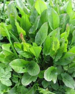 5062cb5e-ab0f-4c31-86fe-5dc9570491a0