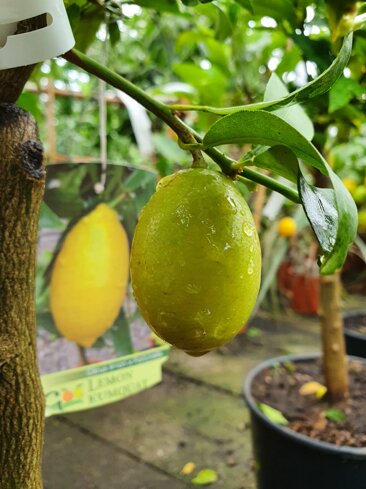 5581370e-64f1-4af1-a692-6d8853165eeb