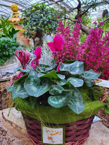 2cb3b575-d3de-4f83-9673-376b4e264ff1