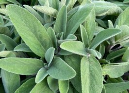 efeea376-87b7-4e44-baf6-2f24ee6342ec