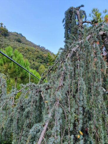 5b8f7561-784d-44a0-b272-929eabc1a003