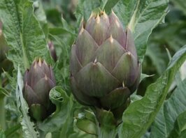 ffe8a76c-545e-4a43-82d9-f0a2cccf216e