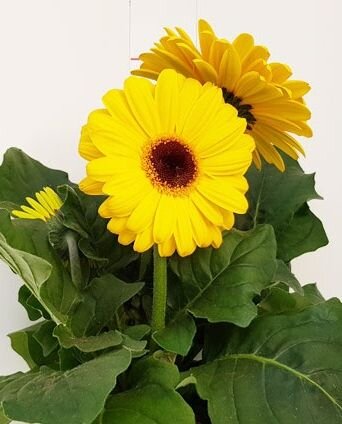 8db18a77-1b6c-4efc-b30d-5a8d5c7e31bb.jpg 8db18a77-1b6c-4efc-b30d-5a8d5c7e31bb.jpg